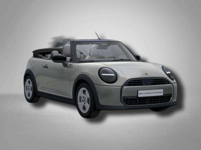 Mini One Cabrio 5.000 km 29.890 &euro; Selent 24238