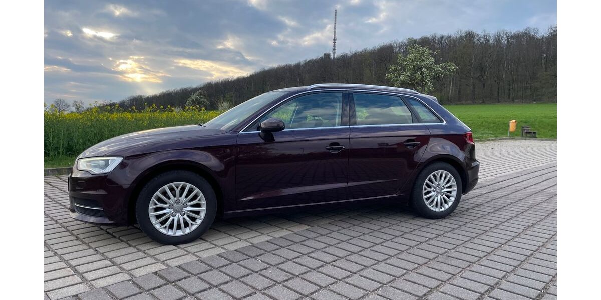 Audi A3 150.000 km 8.000 &euro; Riesa 01591