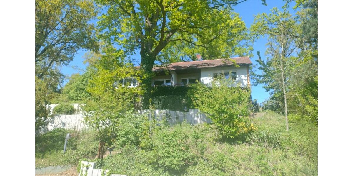 Etagenwohnung Clenze - 8 Zimmer, 240 m&sup2;, 1.850&euro; | Angebot:26217286