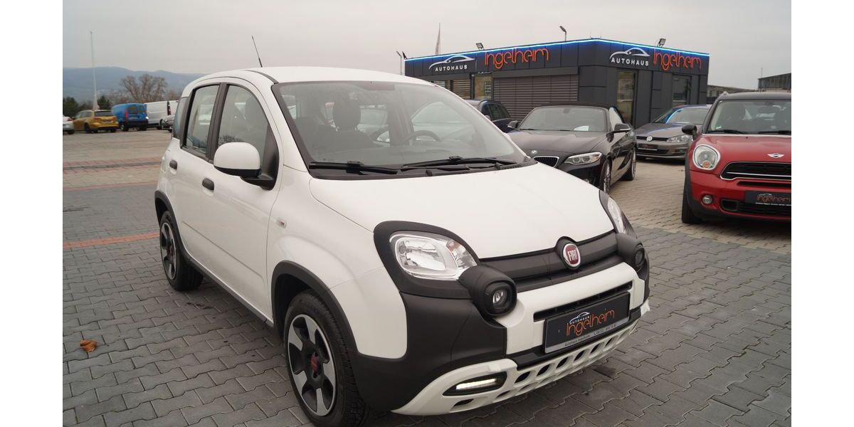 Fiat Panda 49.833 km 11.890 &euro; Ingelheim 55218