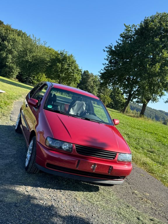 Polo