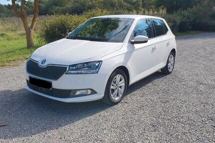 Skoda Fabia 76.500 km 12.650 € Estenfeld 97230
