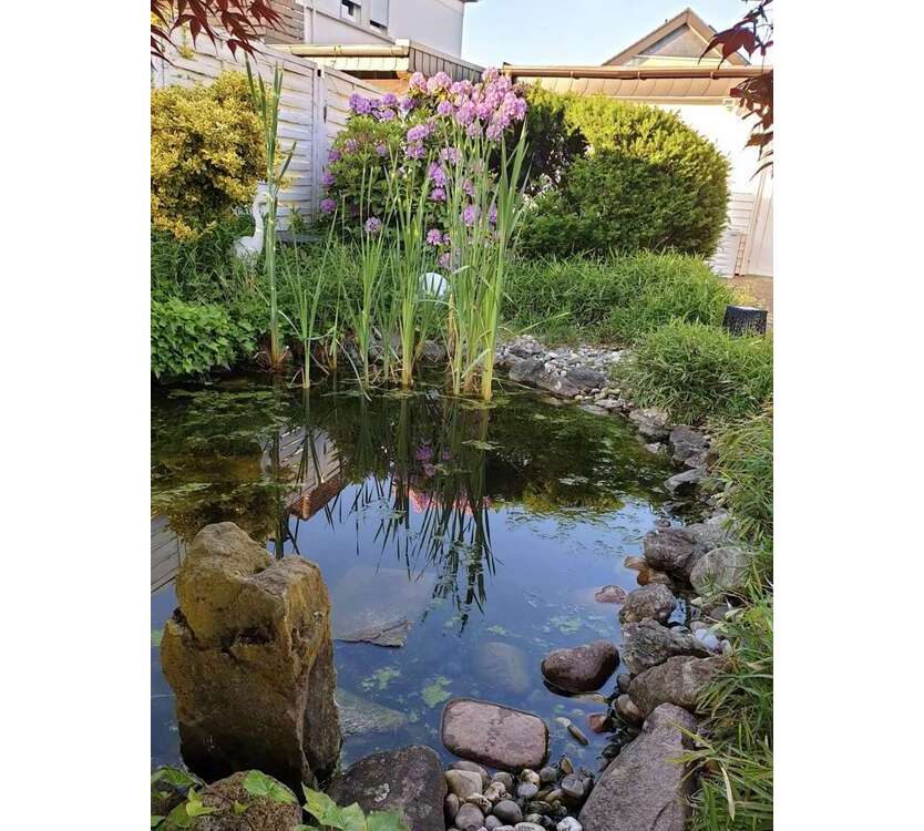 Haus zum Kaufen in Bad Salzuflen 549.000 € 240 m²