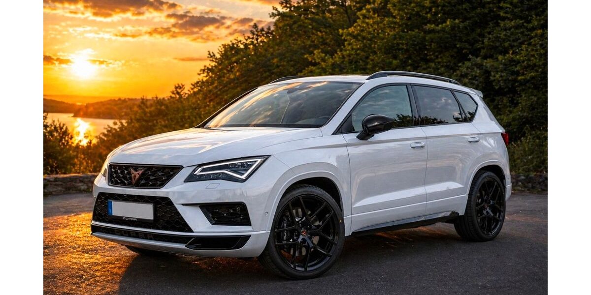 Cupra Ateca 58.000 km 23.800 &euro; Mühlheim am Main 63165