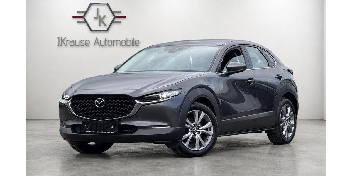 Mazda CX-30 95.263 km 18.999 &euro; Hammah 21714