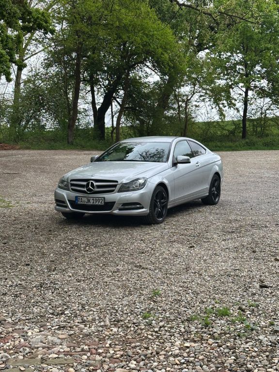 C 250