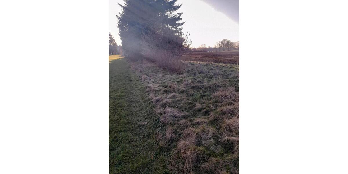 Grundstück Annaburg - 10&euro; | Angebot:21896645