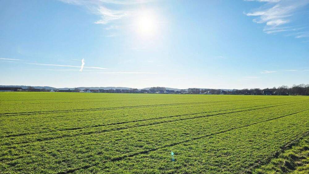 Einfamilienhaus Bad Essen Wimmer - 8 Zimmer, 216 m&sup2;, 379.000&euro; | Angebot:25409908