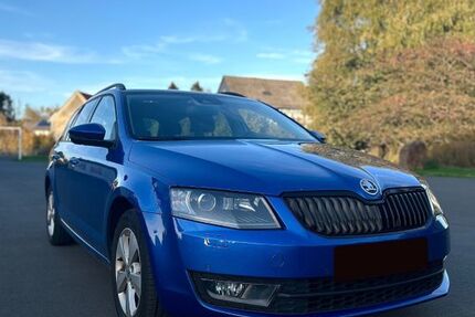 Skoda Octavia 215.120 km 8.000 &euro; Mücke 35325