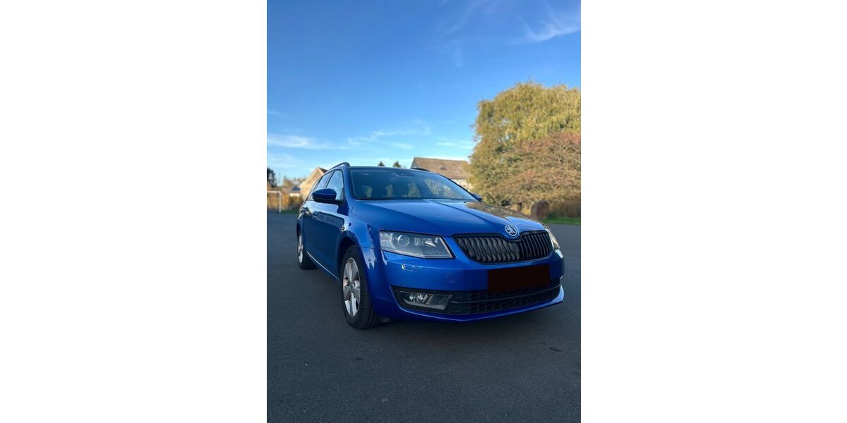 Skoda Octavia 215.120 km 8.000 &euro; Mücke 35325