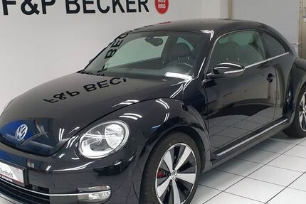 VW Beetle