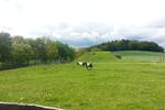 Nentershausen, Landhaus - Einfamilienhaus Nentershausen Dens | Angebot:7285180