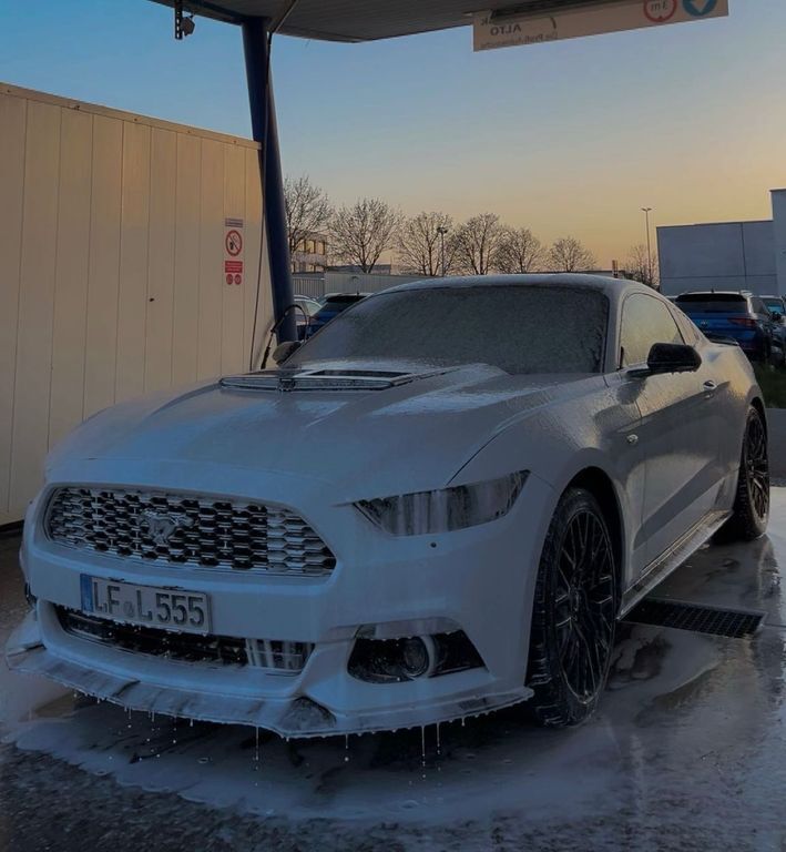 Mustang