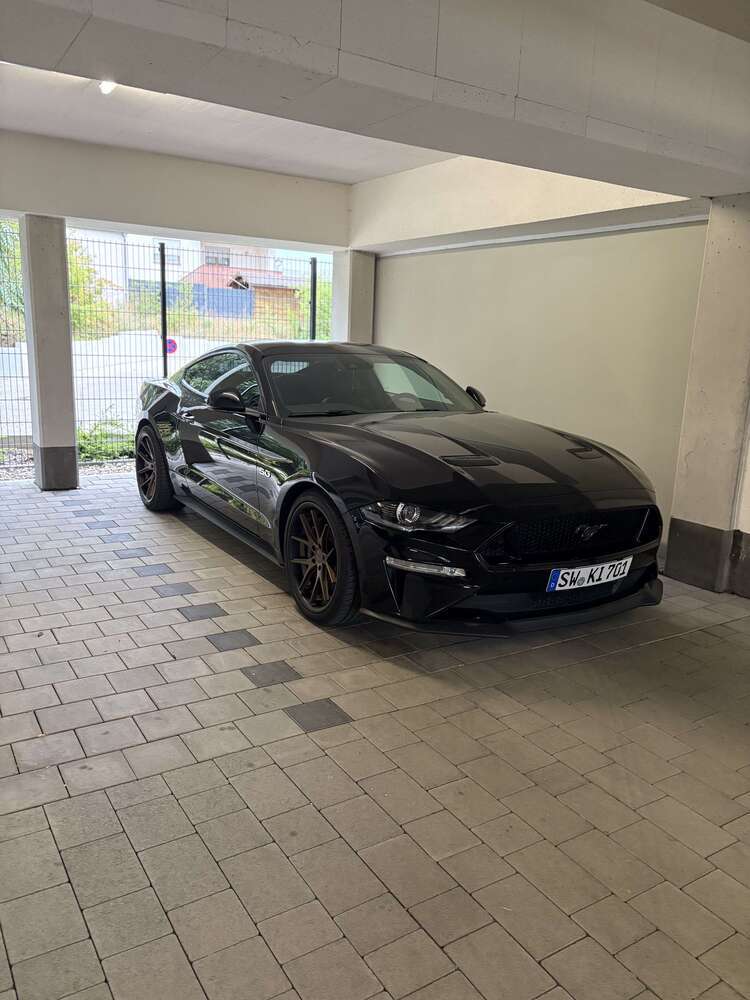 Mustang