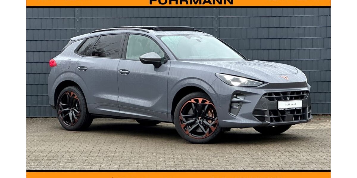 Cupra Terramar 19.645 km 41.950 &euro; Uelzen 29525