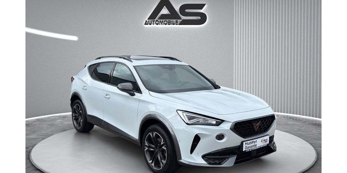 Cupra Formentor 46.180 km 22.980 &euro; Gifhorn 38518