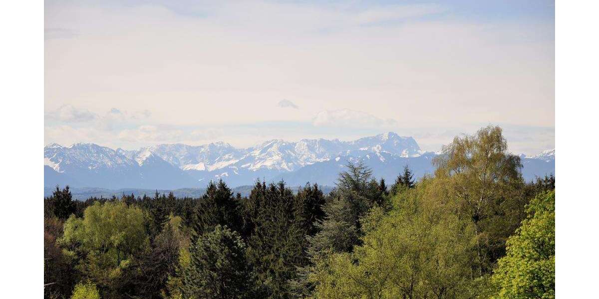 Haus zum Mieten in Berg 9.900 € 515 m² 11 zimmer