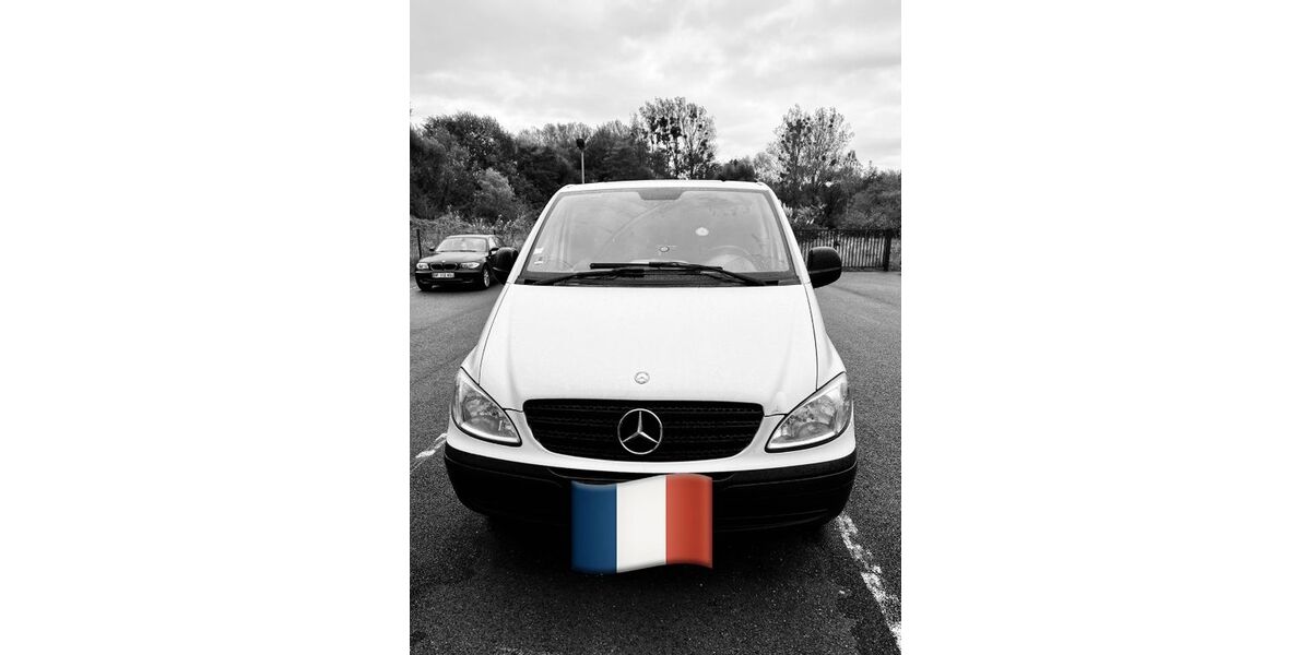Mercedes-Benz Vito 191.000 km 3.900 &euro; Steinmauern 76479
