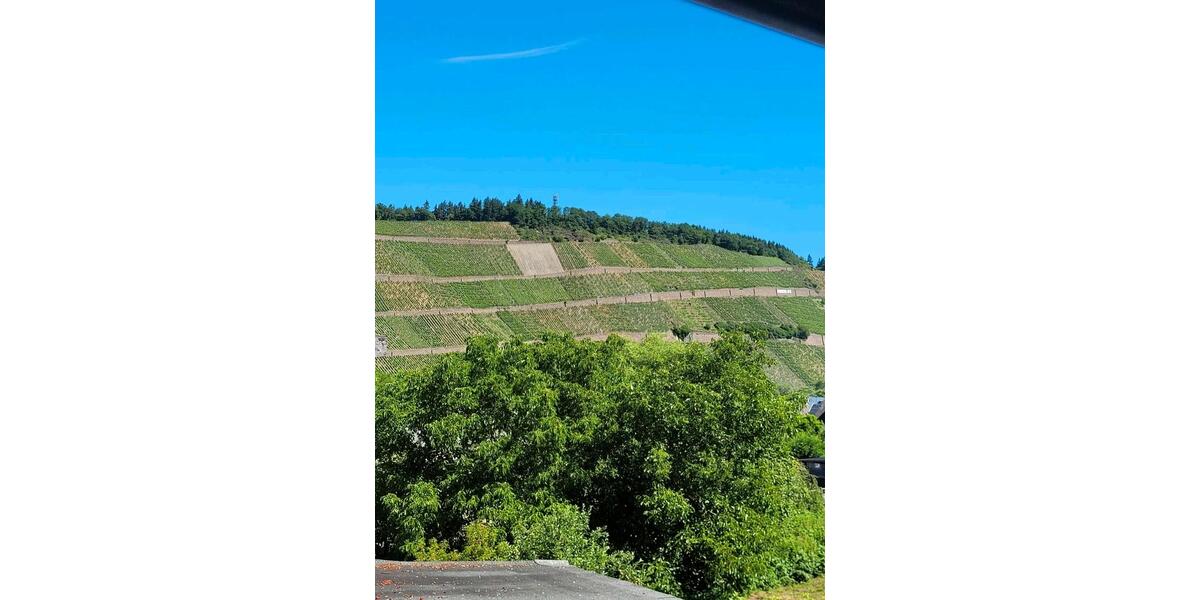 Einfamilienhaus Monzelfeld - 6 Zimmer, 265 m&sup2;, 300.000&euro; | Angebot:26919198