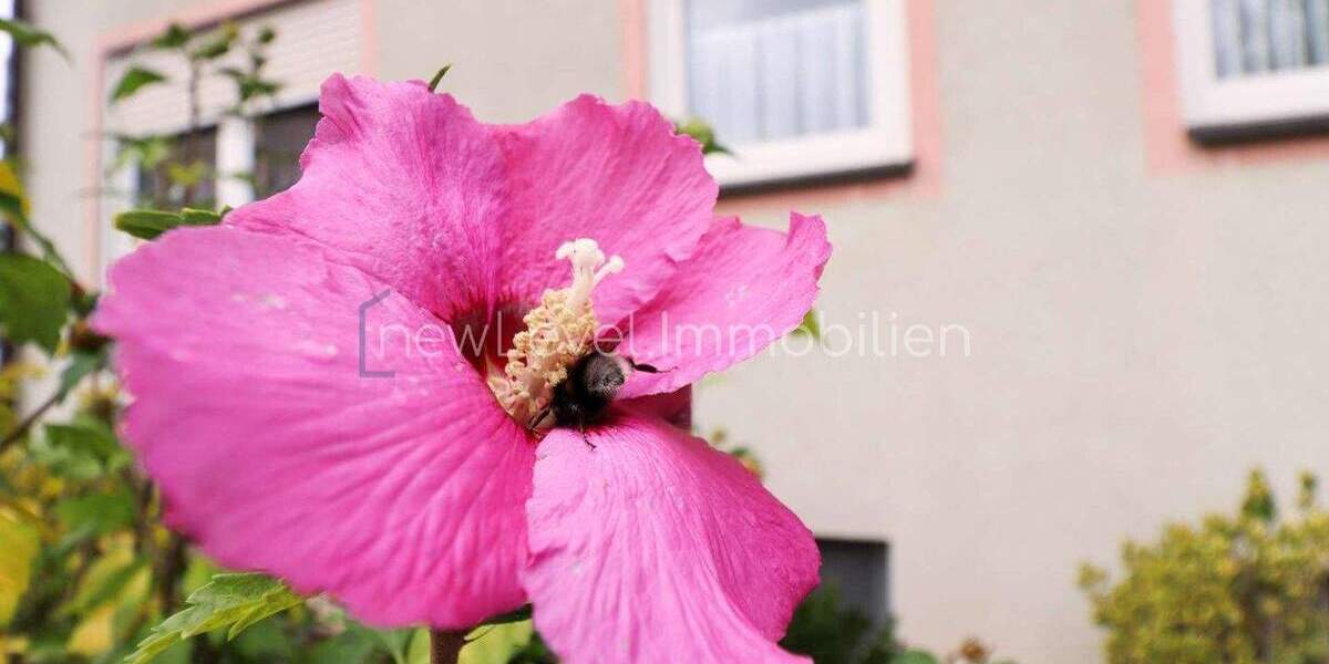 Etagenwohnung Stein - 2 Zimmer, 73 m&sup2;, 240.000&euro; | Angebot:24724118