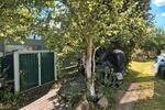 Einfamilienhaus Mainburg - 14 Zimmer, 389 m&sup2;, 580.000&euro; | Angebot:26919415
