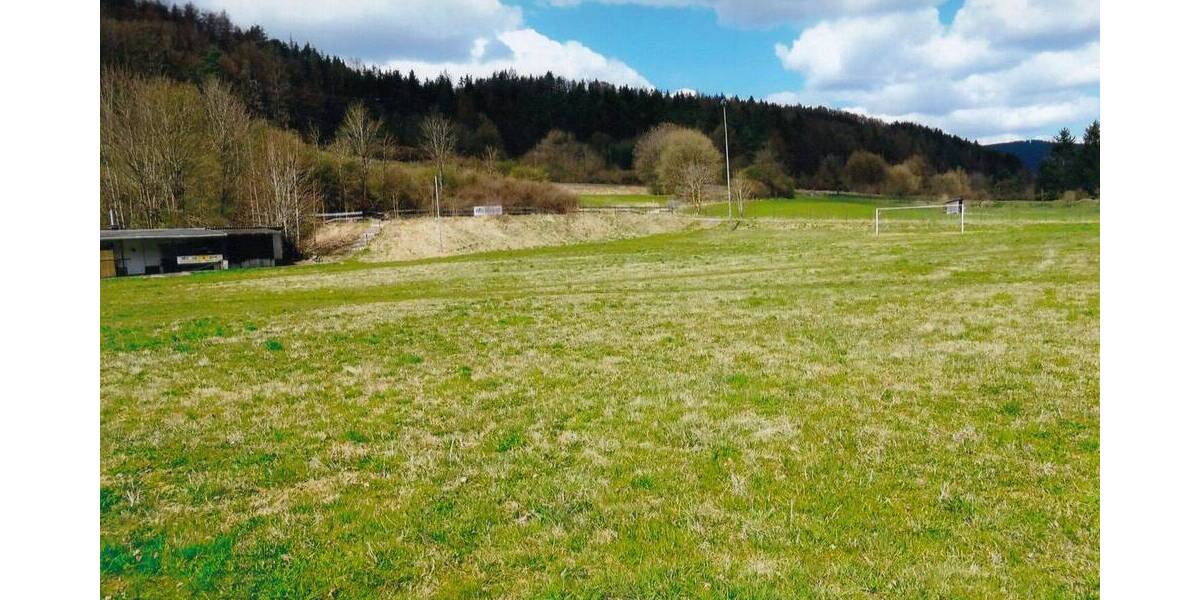 Grundstück Frankenblick Grümpen - 19.000&euro; | Angebot:21103788