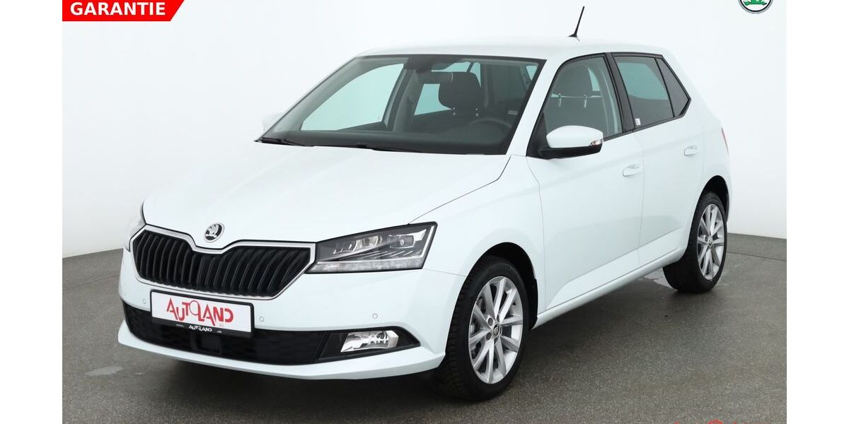 Skoda Fabia 22.188 km 14.990 &euro; Zella-Mehlis 98544