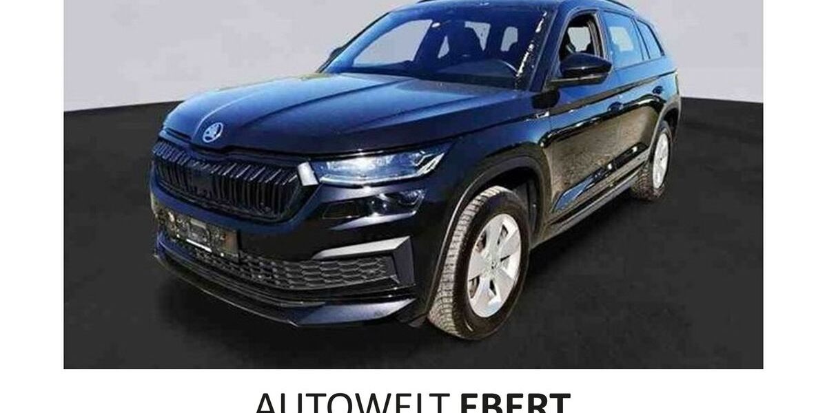 Skoda Kodiaq 123.890 km 32.690 &euro; Weinheim 69469