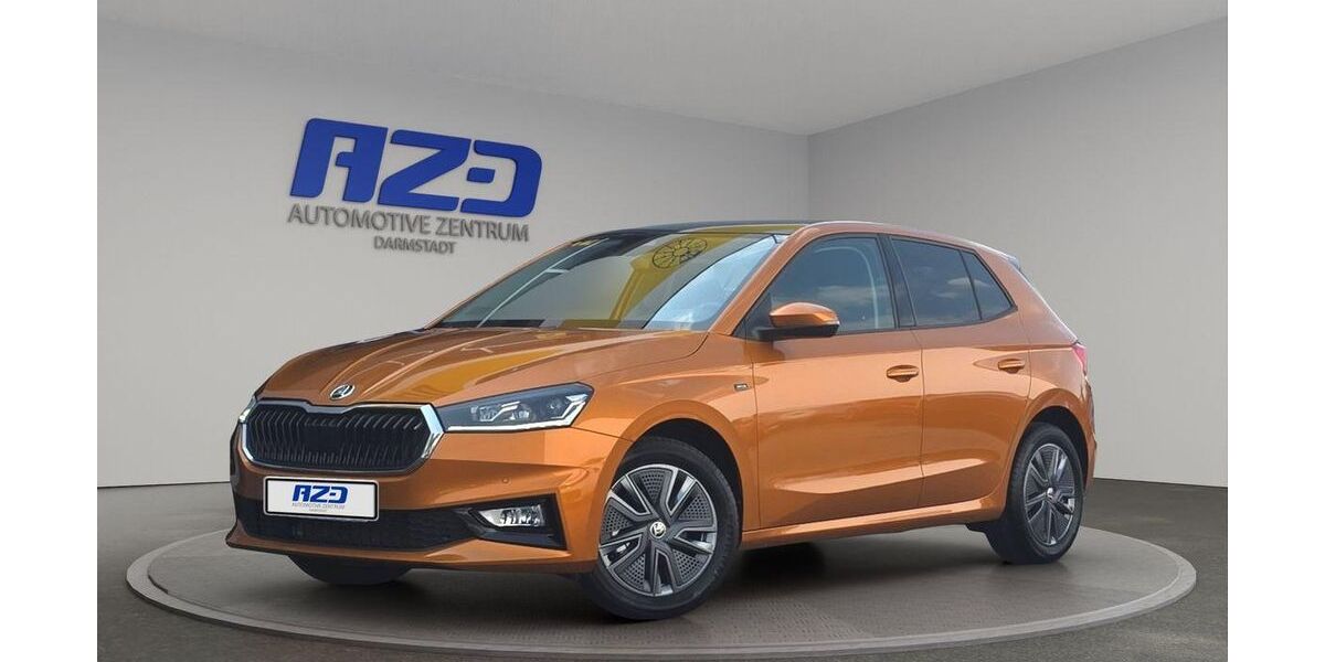 Skoda Fabia 12.000 km 24.244 &euro; Darmstadt 64293