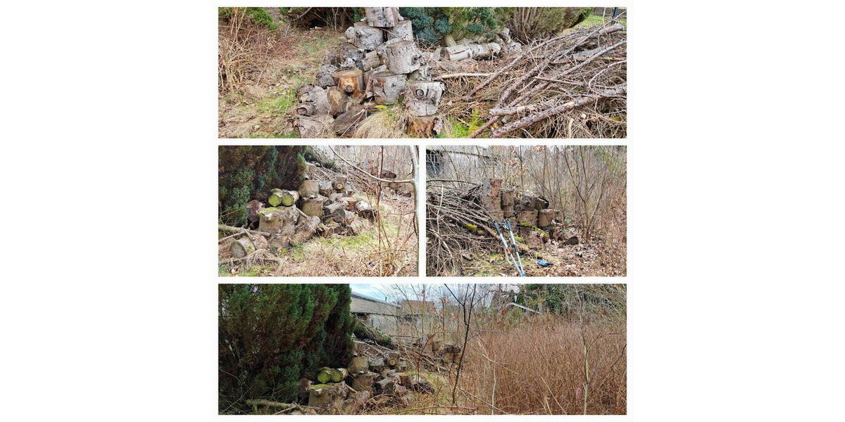 Grundstück Wandlitz OT Schönerlinde Schönerlinde - 708.000&euro; | Angebot:25944670