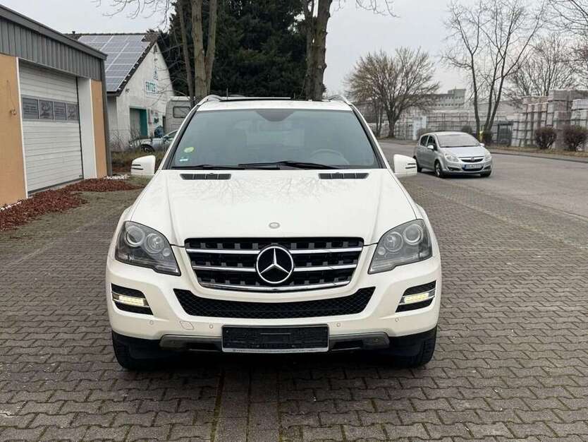 ML 300