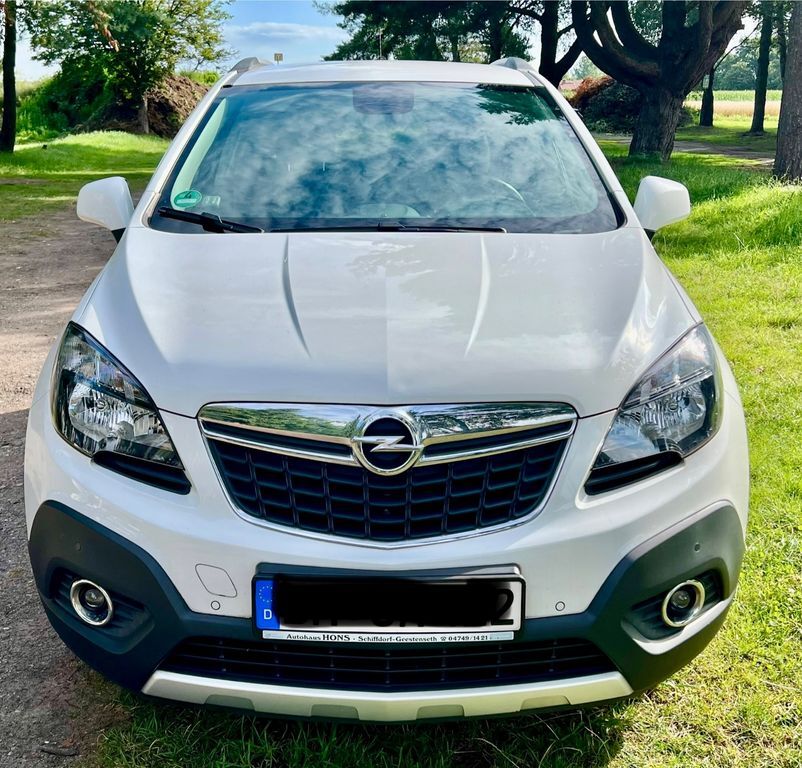 Mokka