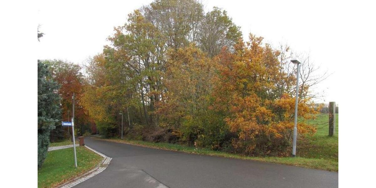 Gewerbeobjekt Bad Bibra - 4.900&euro; | Angebot:19985290