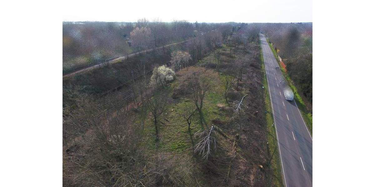 Grundstück Machern - 185.000&euro; | Angebot:24036204