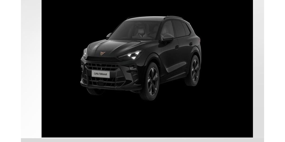 Cupra Terramar 5.000 km 44.950 &euro; Fürth 90763