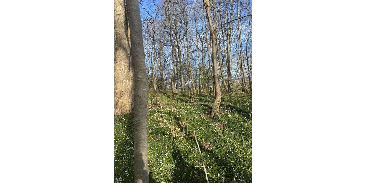 Grundstück Eschweiler Bergrath - 140.000&euro; | Angebot:25640275