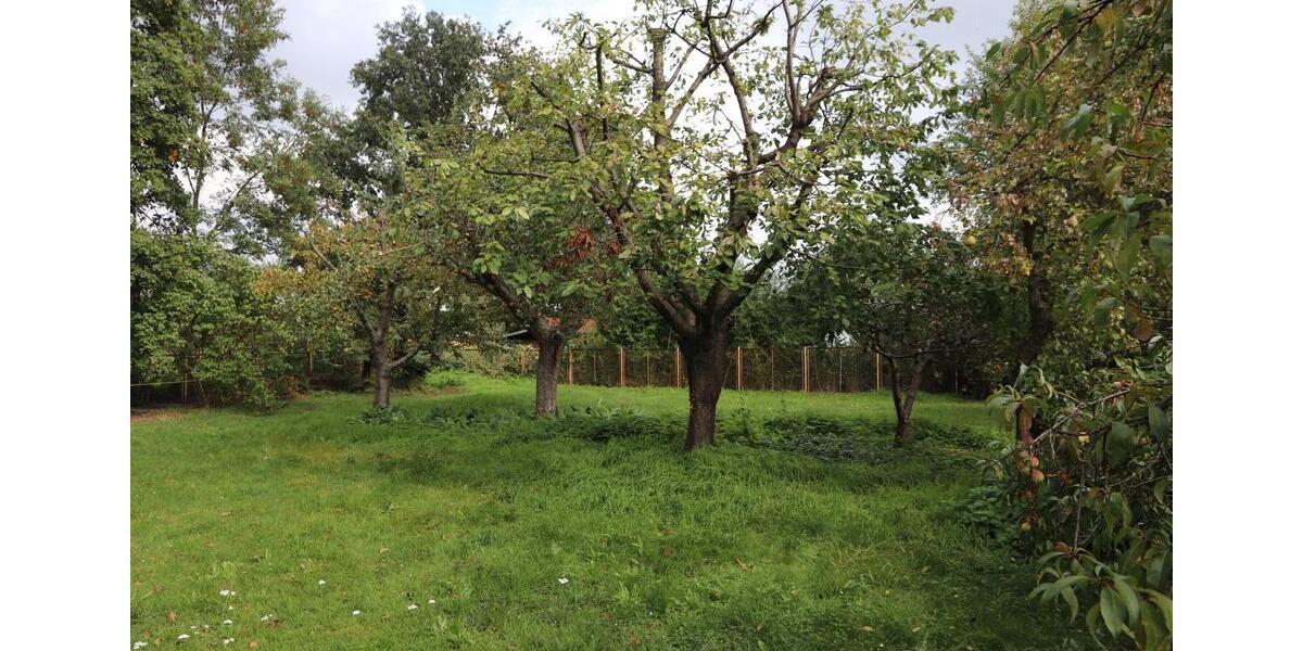 Niedrigenergie- Familienwohnung mit außergewöhnlichem Grundriss 4 zimmer