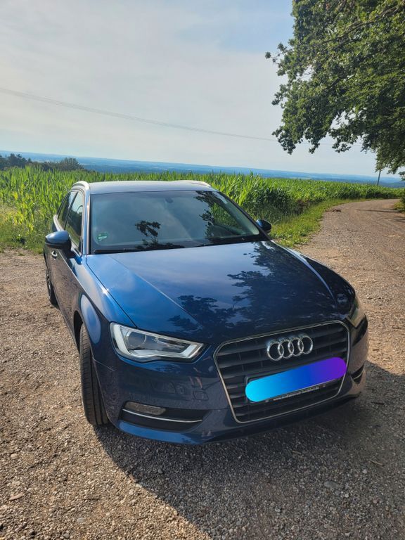 A3