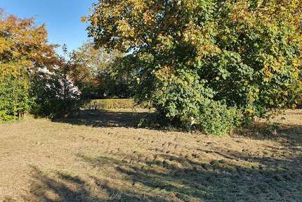 Grundstück Lübbecke - 125.000&euro; | Angebot:14841883