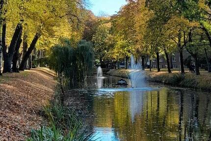 Wohnung Jever - 1 Zimmer, 39 m&sup2;, 400&euro; | Angebot:25455587