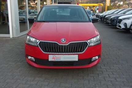 Skoda Fabia 113.144 km 9.550 € Mühltal 64367