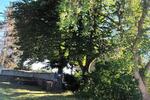 Bauernhaus, Landhaus Gransebieth - 6 Zimmer, 150 m&sup2;, 234.000&euro; | Angebot:26963089