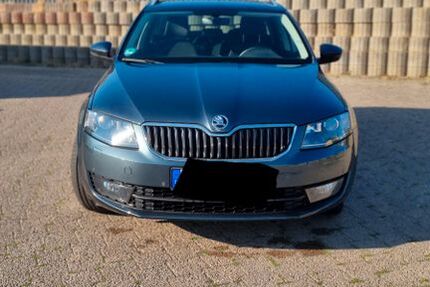 Skoda Octavia 150.211 km 11.000 &euro; Eckelsheim 55599