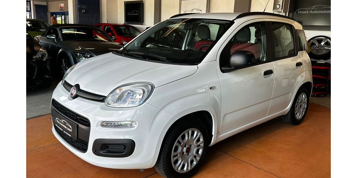 Fiat Panda 73.665 km 6.290 &euro; Bad Dürkheim 67098