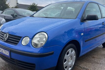 VW Polo