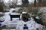 3-Zimmer-Mietwohnung mit Stellplatz und Garage sowie Garten mit Freisitz und Teich sowie Wasserlauf in 97456 Sennfeld (1592) - Erdgeschoßwohnung Sennfeld Sennfeld | Angebot:25521331