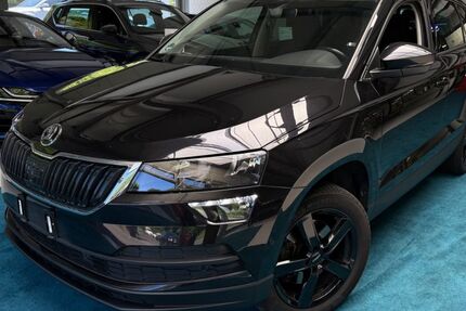 Skoda Karoq 189.839 km 13.691 &euro; Freudenberg 57258