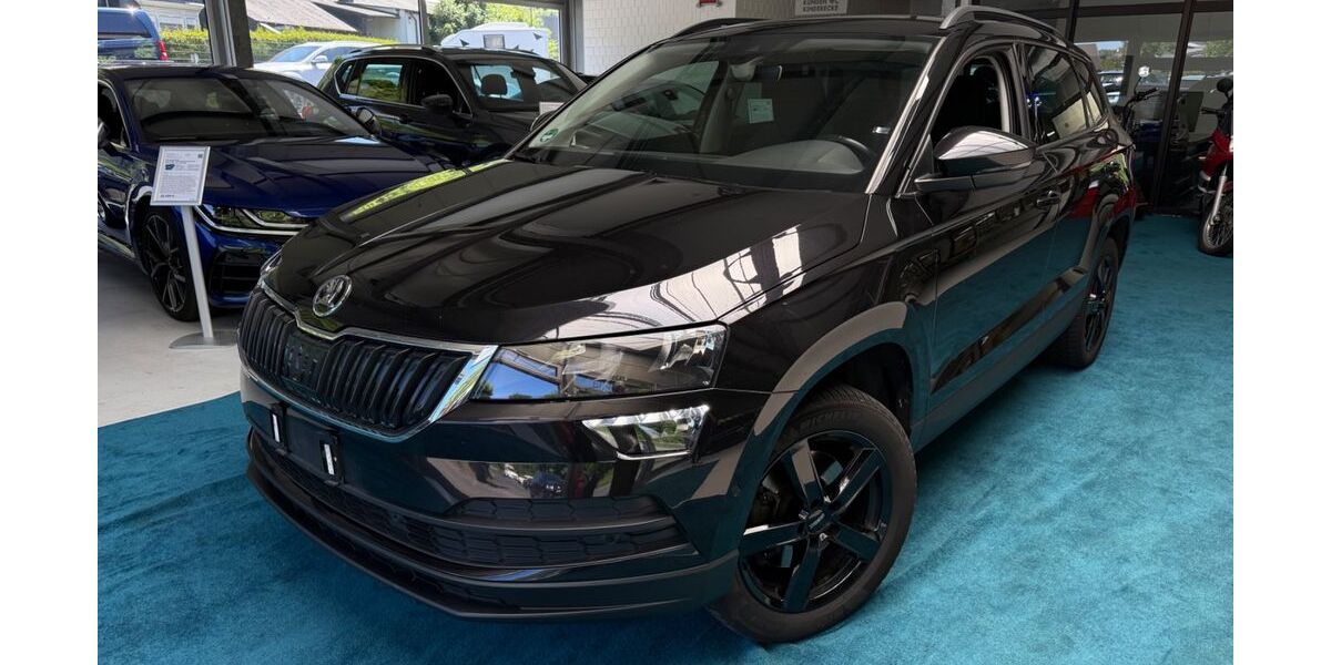 Skoda Karoq 189.839 km 13.691 &euro; Freudenberg 57258