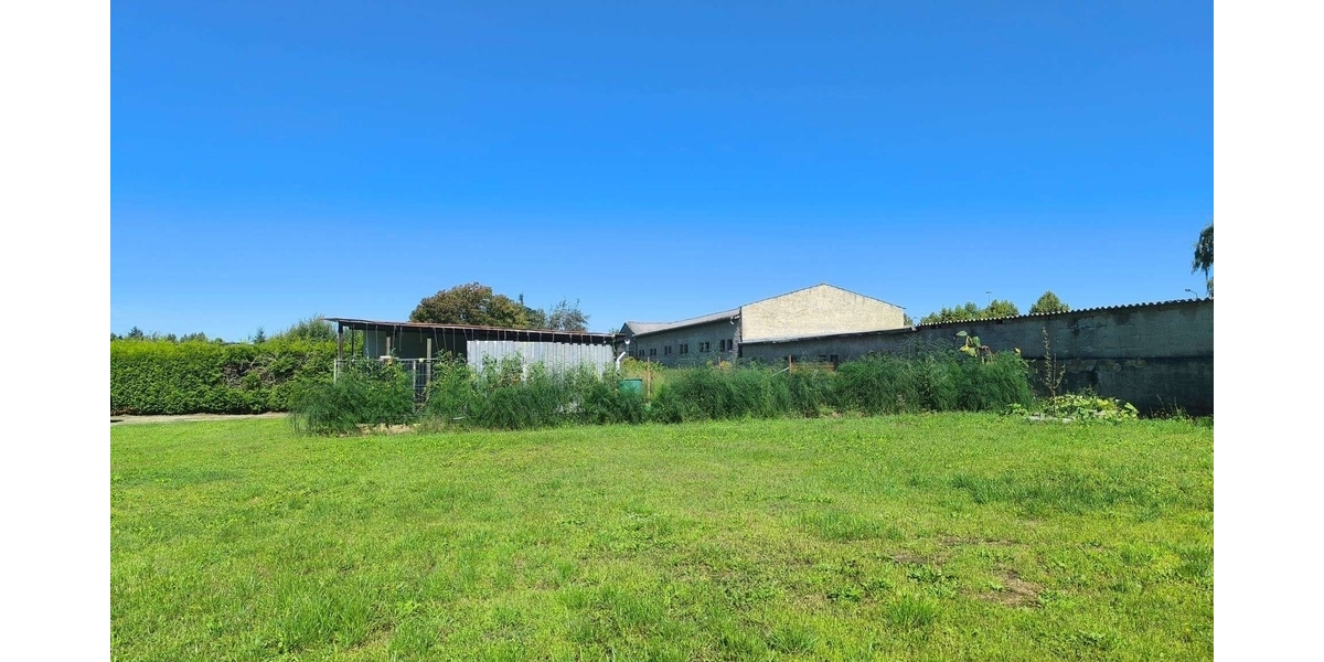 Müncheberg: Bauträgerfrei - Wunderschönes Baugrundstück in naturnaher Umgebung zimmer