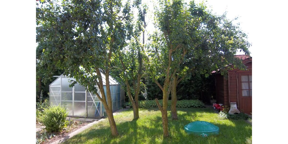 Provisionsfrei* 3 Generationen ZFH: 5 ZiWo + 4 ZiWo, 3 Ebenen, Grund 802 m² in 89173 Lonsee zu verkaufen. - Zweifamilienhaus Lonsee | Angebot:26781319